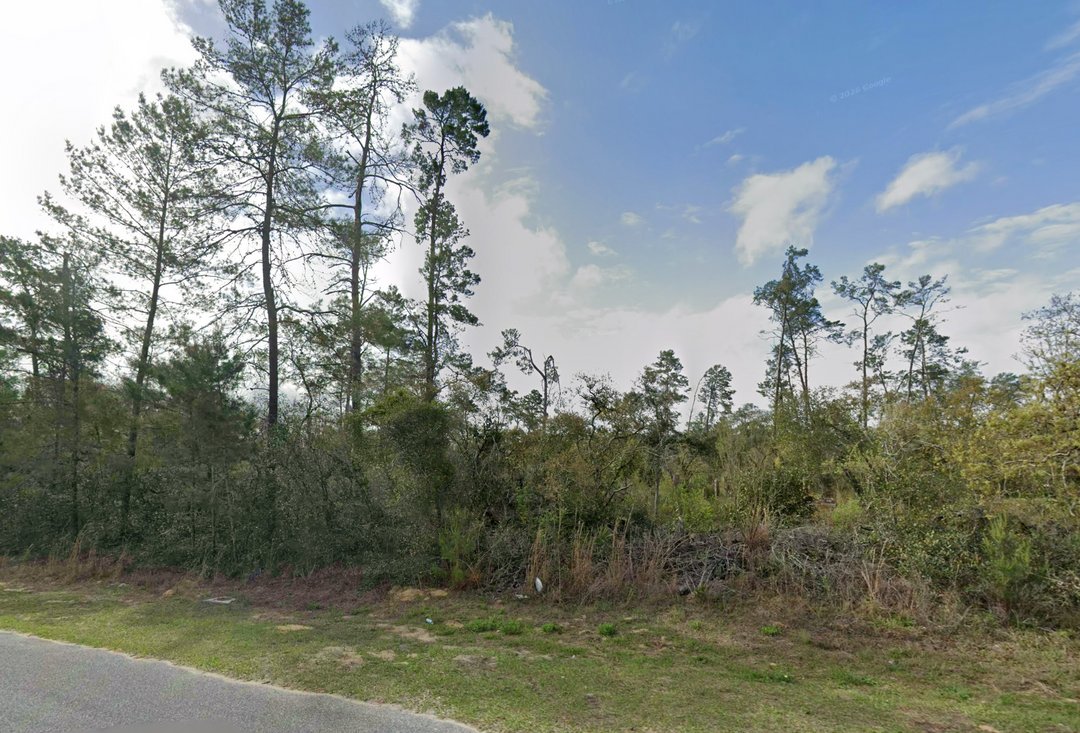 Citrus Springs