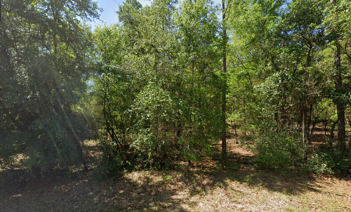 Rainbow Lake Estates